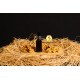 Propolis 20 Gr Propolis 20 Gr
